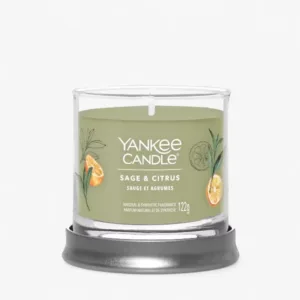 YANKEE CANDLE BICCHIERE PICCOLO SAGE & CITRUS 2654104E